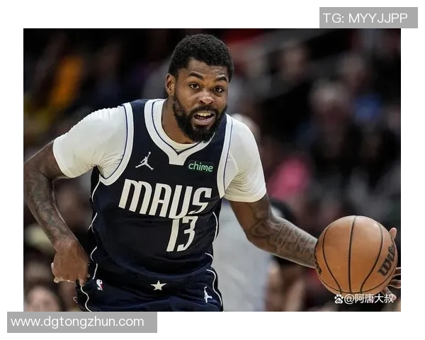 公牛队与独行侠队对决分析：战术策略与球员表现全面解读