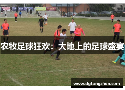 农牧足球狂欢：大地上的足球盛宴